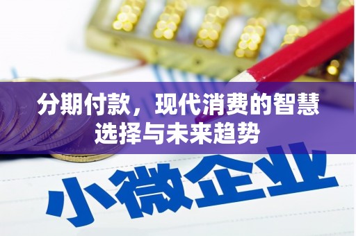 桃城分期付款，现代消费的智慧选择与未来趋势