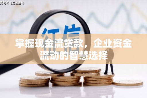 桃城掌握现金流贷款，企业资金流动的智慧选择