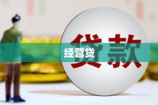 桃城经营贷