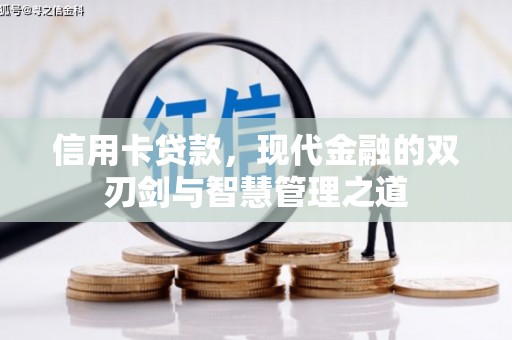 桃城信用卡贷款，现代金融的双刃剑与智慧管理之道