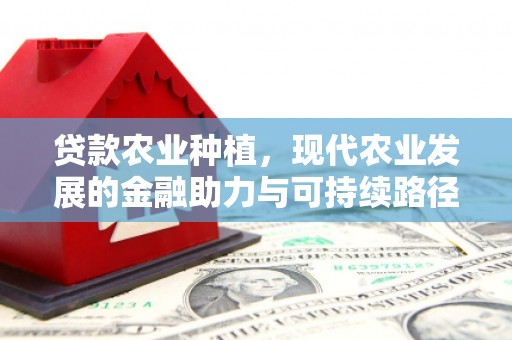 桃城贷款农业种植，现代农业发展的金融助力与可持续路径