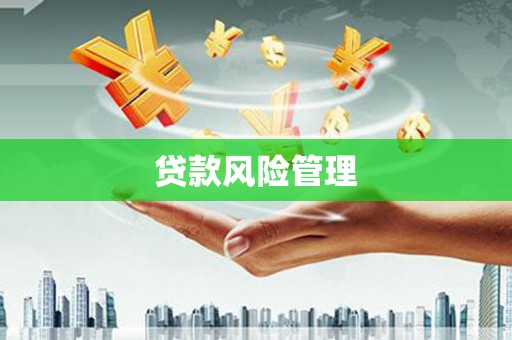 桃城贷款风险管理