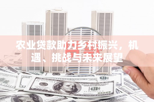 桃城农业贷款助力乡村振兴，机遇、挑战与未来展望