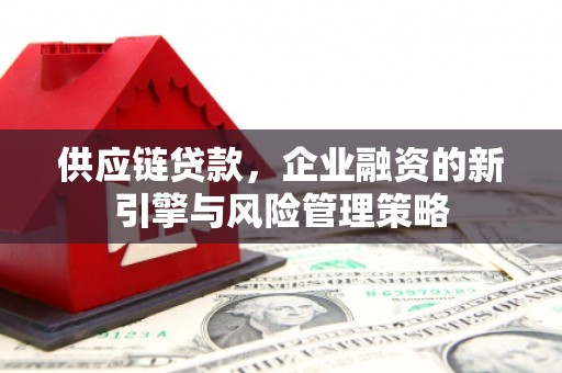 桃城供应链贷款，企业融资的新引擎与风险管理策略