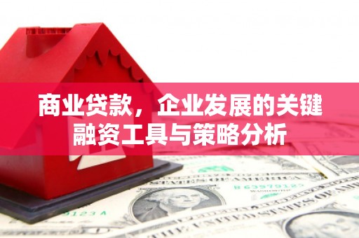 桃城商业贷款，企业发展的关键融资工具与策略分析