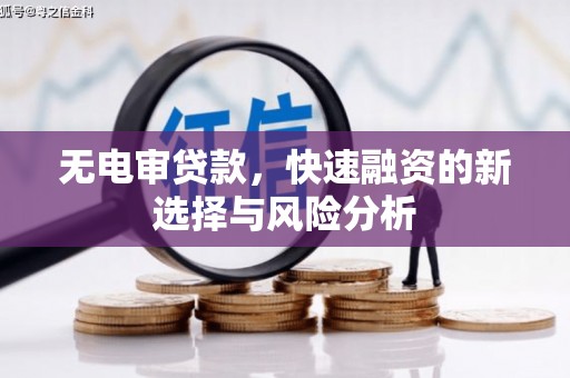桃城无电审贷款，快速融资的新选择与风险分析