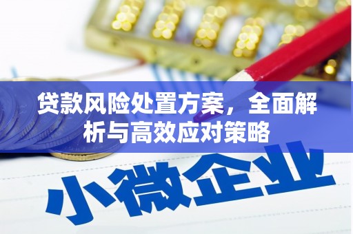 桃城贷款风险处置方案，全面解析与高效应对策略