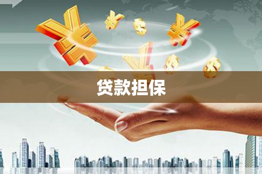 桃城贷款担保
