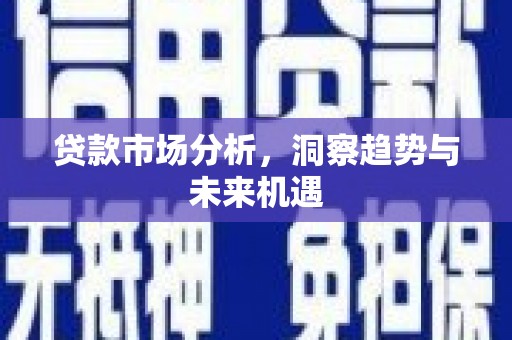 桃城贷款市场分析，洞察趋势与未来机遇
