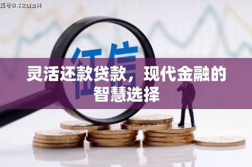 桃城灵活还款贷款，现代金融的智慧选择