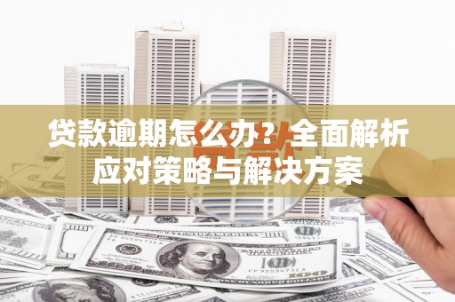 桃城贷款逾期怎么办？全面解析应对策略与解决方案