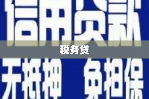 桃城税务贷