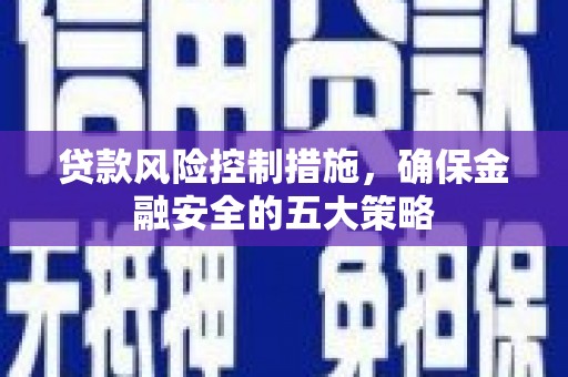 桃城贷款风险控制措施，确保金融安全的五大策略