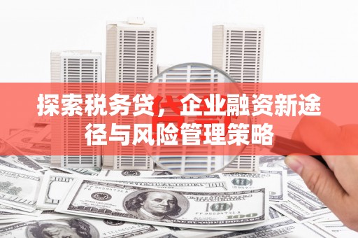 桃城探索税务贷，企业融资新途径与风险管理策略