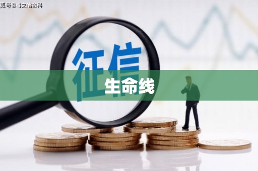 桃城生命线