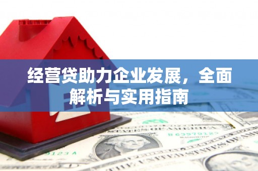 桃城经营贷助力企业发展，全面解析与实用指南