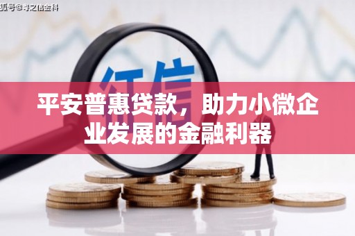 桃城平安普惠贷款，助力小微企业发展的金融利器
