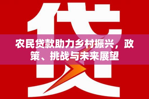 桃城农民贷款助力乡村振兴，政策、挑战与未来展望