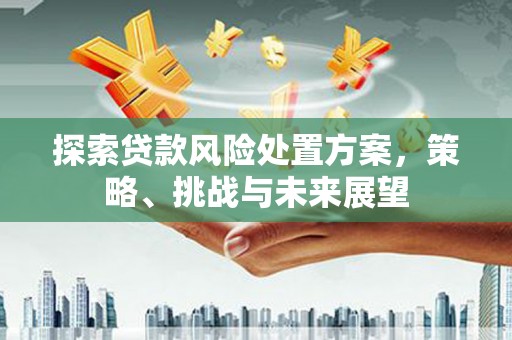 桃城探索贷款风险处置方案，策略、挑战与未来展望