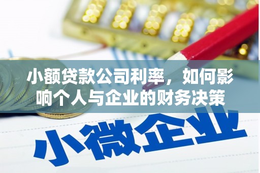 桃城小额贷款公司利率，如何影响个人与企业的财务决策