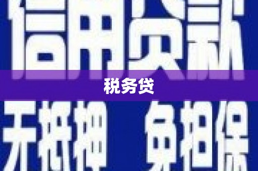 桃城税务贷