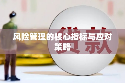 桃城风险管理的核心指标与应对策略