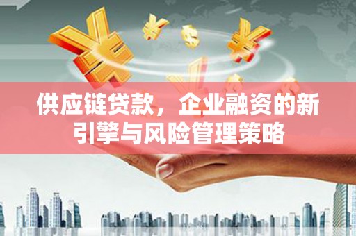 桃城供应链贷款，企业融资的新引擎与风险管理策略
