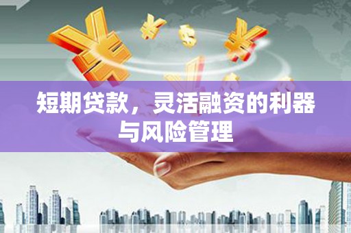 桃城短期贷款，灵活融资的利器与风险管理