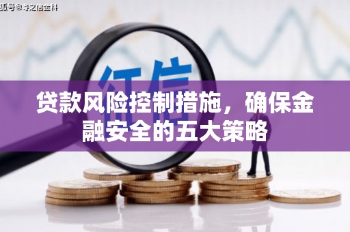 桃城贷款风险控制措施，确保金融安全的五大策略