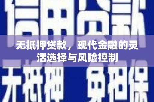 桃城无抵押贷款，现代金融的灵活选择与风险控制