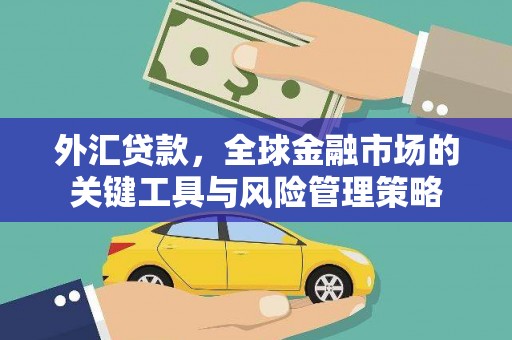桃城外汇贷款，全球金融市场的关键工具与风险管理策略