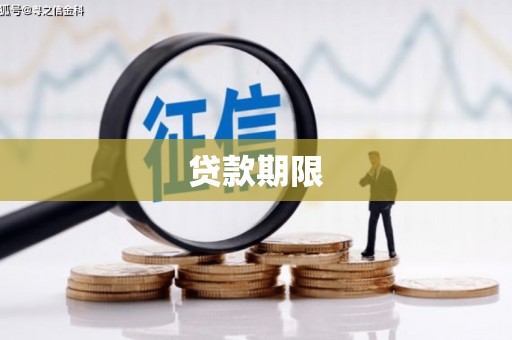 桃城贷款期限