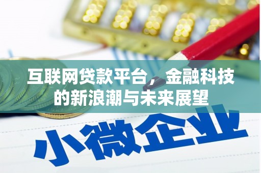 桃城互联网贷款平台，金融科技的新浪潮与未来展望