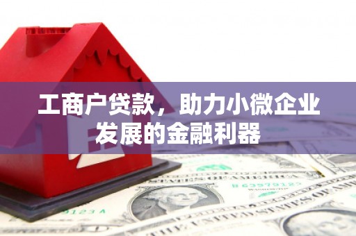 桃城工商户贷款，助力小微企业发展的金融利器