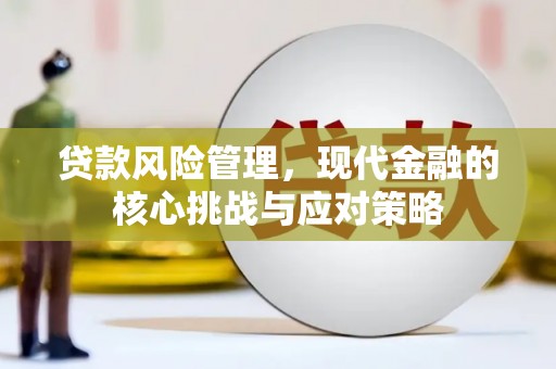 桃城贷款风险管理，现代金融的核心挑战与应对策略