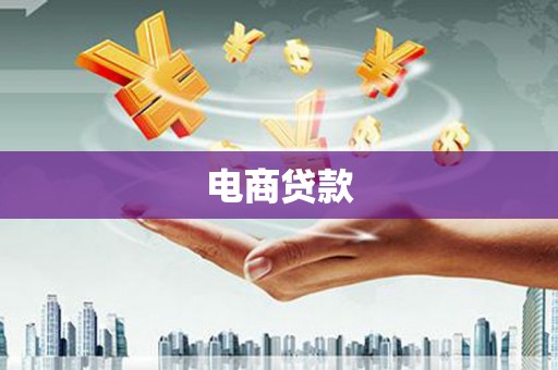 桃城电商贷款