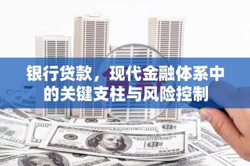 桃城银行贷款，现代金融体系中的关键支柱与风险控制