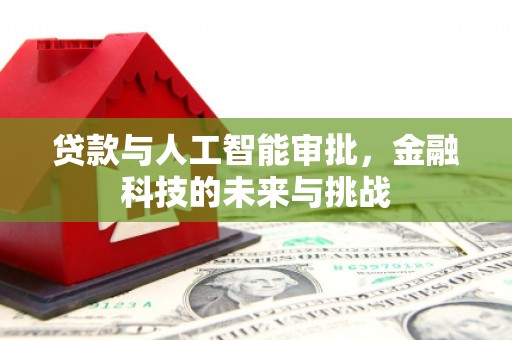 桃城贷款与人工智能审批，金融科技的未来与挑战