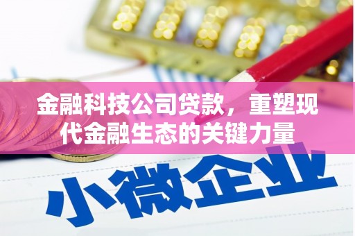 桃城金融科技公司贷款，重塑现代金融生态的关键力量