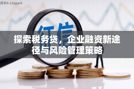 桃城探索税务贷，企业融资新途径与风险管理策略