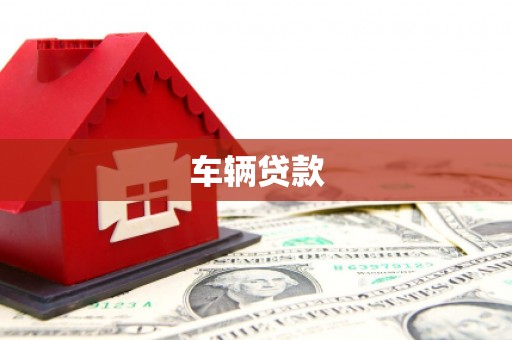 桃城车辆贷款