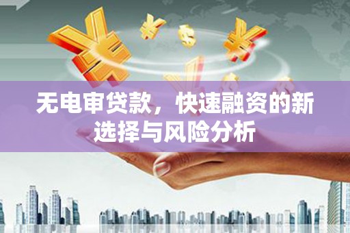 桃城无电审贷款，快速融资的新选择与风险分析