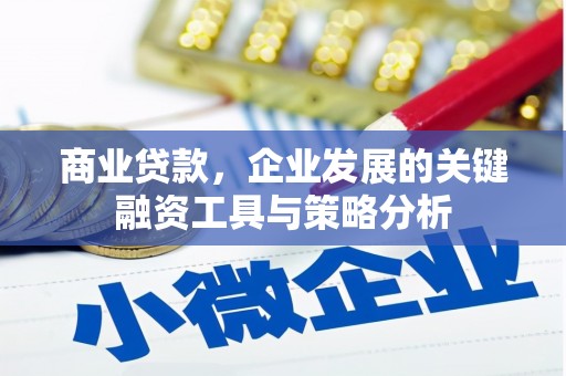 桃城商业贷款，企业发展的关键融资工具与策略分析