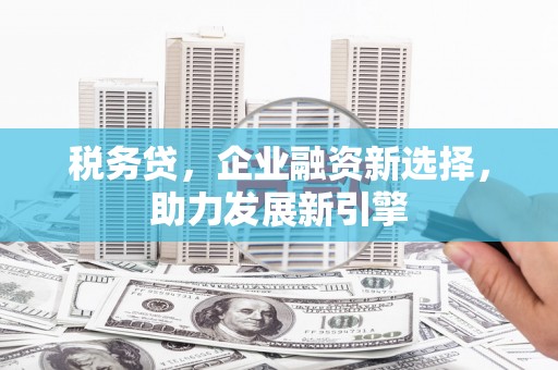 桃城税务贷，企业融资新选择，助力发展新引擎