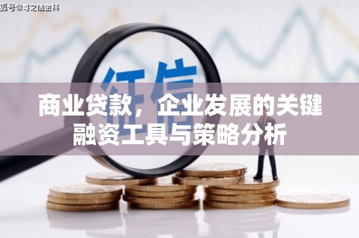 桃城商业贷款，企业发展的关键融资工具与策略分析