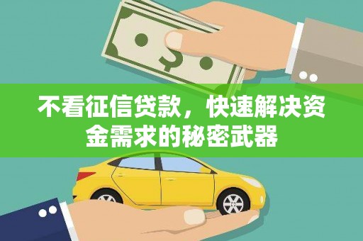 桃城不看征信贷款，快速解决资金需求的秘密武器