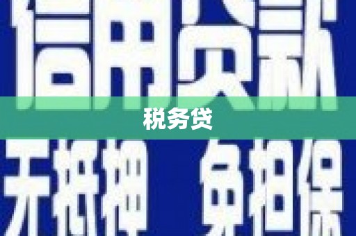 桃城税务贷