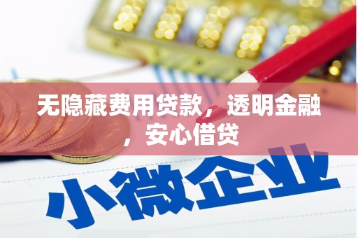 桃城无隐藏费用贷款，透明金融，安心借贷