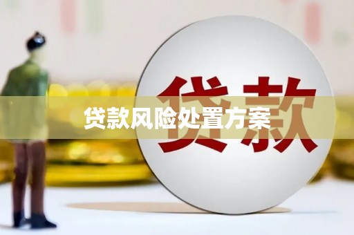 桃城贷款风险处置方案