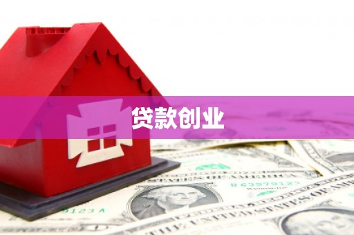 桃城贷款创业